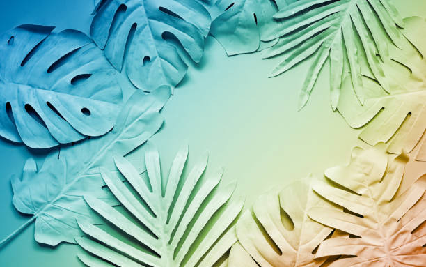 istock tropical leaf,leaves collection for design with pastel color  palette. 1680022271