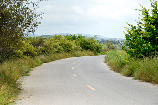 Road on both sides is filled with forests, mountain views on the background, and soft sunlight,road without traffic.