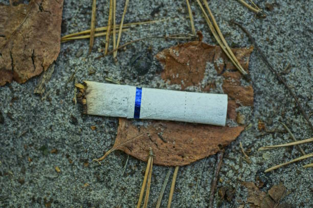 istock one white cigarette butt with a filter lies on gray sand 1680074519