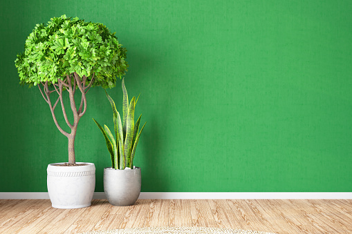Empty Mockup Green Wall with Plants. 3D Render