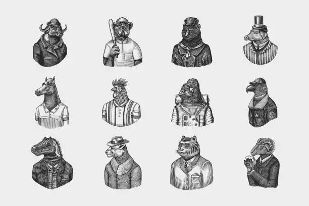 Vector illustration of Gorilla monkey astronaut. Eagle aviator pilot Rooster Dinosaur Pig Tiger Bear Sheep Buffalo Bull Horse Cheetah. Dog bulldog baseball tennis player. Fashion animal character. Hand drawn vintage sketch.