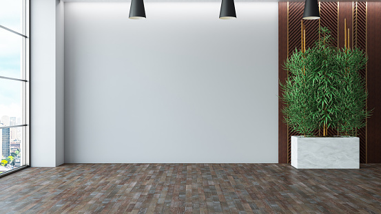 Unfurnished Living Room with Empty White Wall and Plants. 3D Render