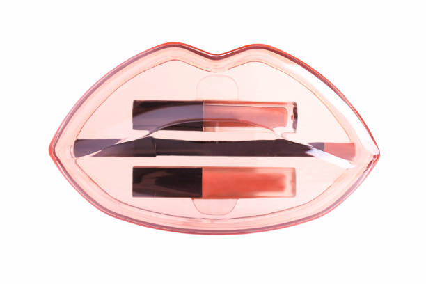 Set of professional lip cosmetics in plastic transparent container isolated on white background.