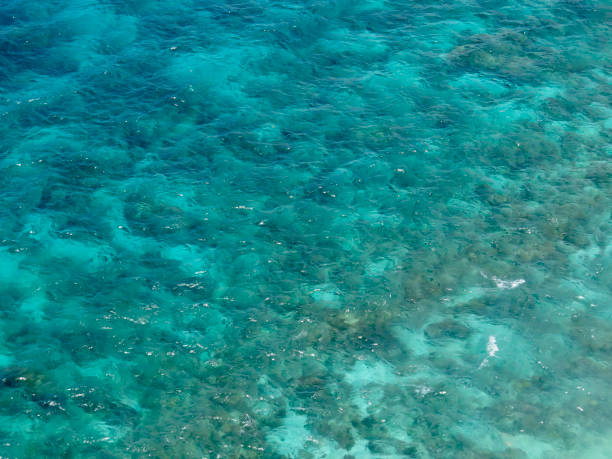 istock Top view of the seabed through the water column. 1680161822