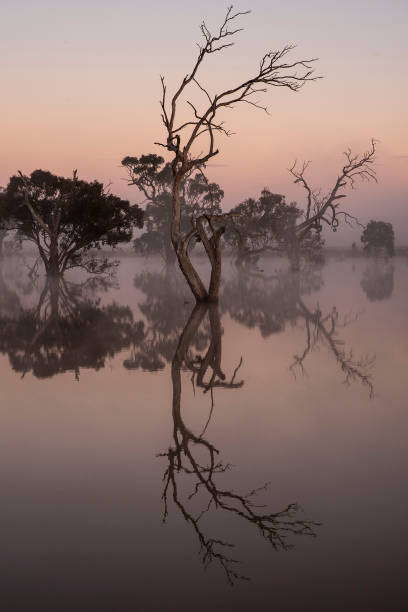 istock Refletions of contemplation 1680206407