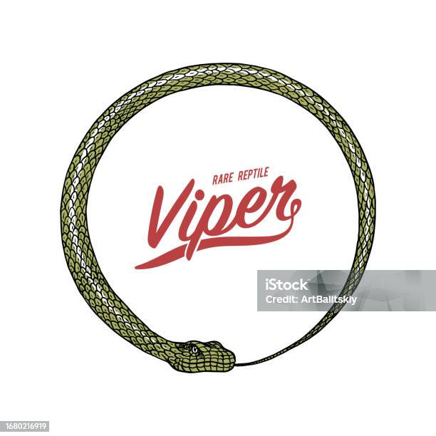 Python Snake Circle Circle Snake In Vintage Style Serpent Cobra Or Python Or Poisonous ...