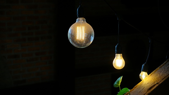 Light bulbs in the dark with green leaves on wooden planks
