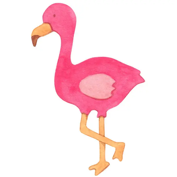 Vector illustration of flamingo watercolor style, cute animal cartoon in the jungle