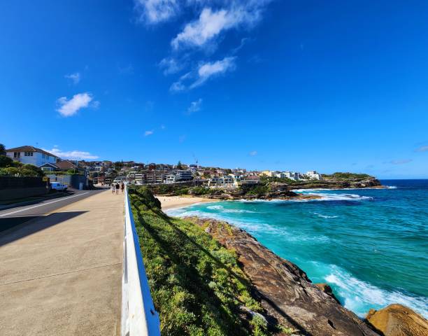 View of Coogee to Bondi coastal walk