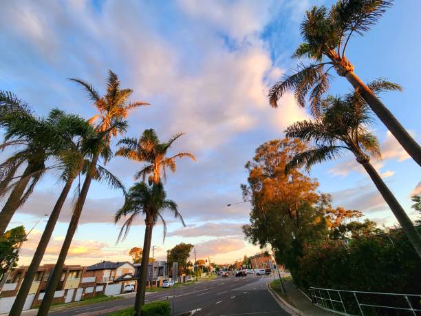 istock Sydney outskirts street scene 1680305108
