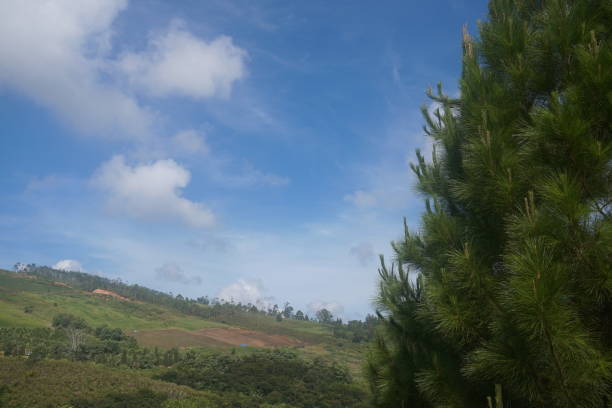 istock Panoramic view of mountain and blue sky with cloud in Indonesia 1680327048