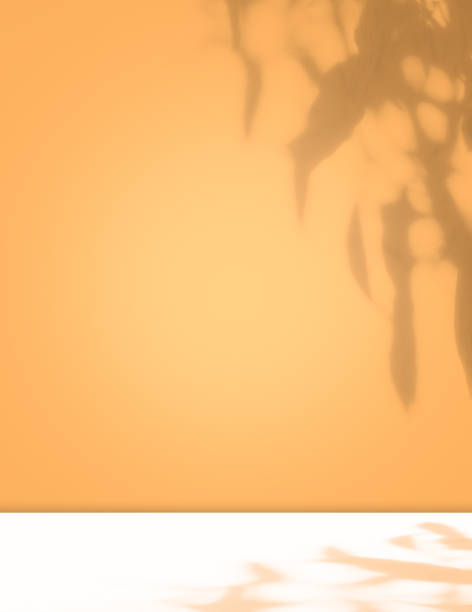 istock Background Summer Shadow Leaf on Table Product Beauty Cosmetic Spring Tropical, Overlay Flower on Wall Abstract Studio Room 3d Yellow Minimal Gradient Light Kitchen Platform Mockup Scene Loft 1680341537
