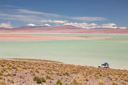 Colorful mineral lake in the high altiplano of the Atacama region