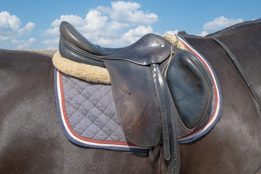 Beautiful and dedicated young woman in riding gear taking  care of her horse.She groomes her horse after riding, removes his saddle and other equipment.