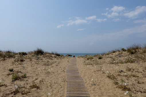 A well-groomed path to the sea with a fence made of marine ropes.