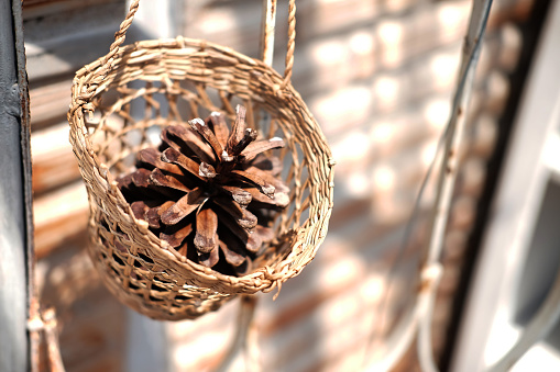 Pine cones in a woven basket is hanging on vintage wall
