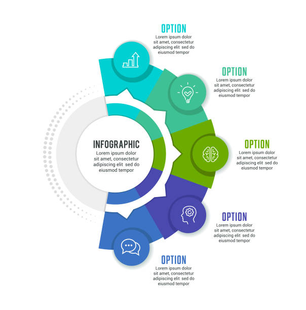 Vectors Example Inographic 1,900+ Vertical 3 Infographic Stock Illustrations, Royalty-Free Vector ...