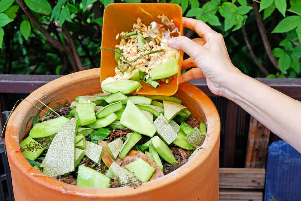 istock Composting organic fertilizer at home garden 1680459089