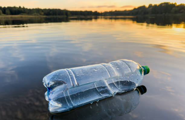 istock Plastic pollution is filling ocean and devastating wildlife. Aquatic trash disaster. 1680498451