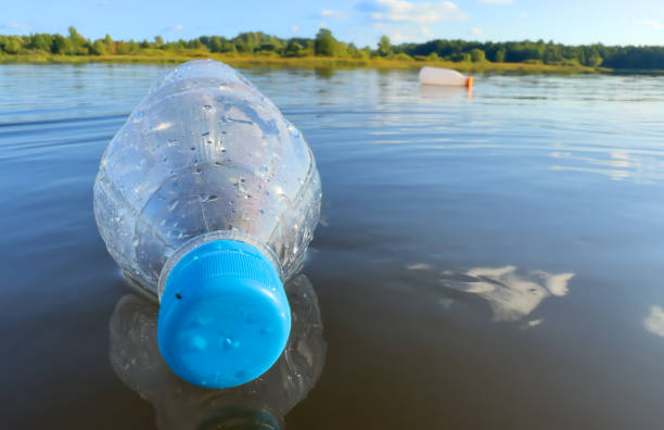 istock Plastic pollution is filling ocean and devastating wildlife. 1680500710