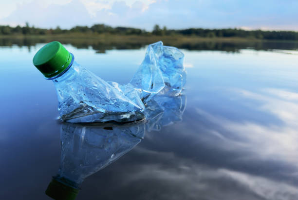 istock Litter in Waterways as problems for environment. Refuse in storm drains. 1680502977