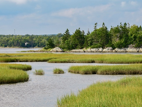 The Salt Marsh Trail, a part of the Trans Canada Trail, Nova Scotia, Canada.