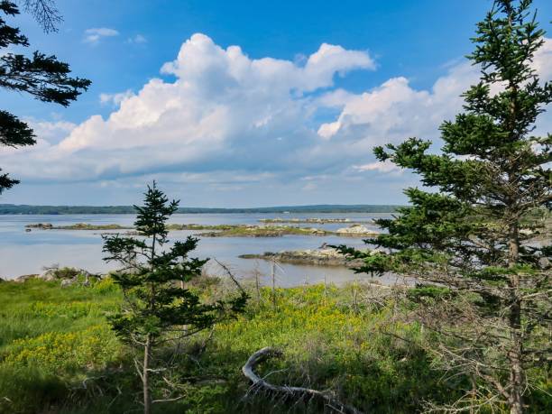istock The Majestic Salt Marsh 1680510022