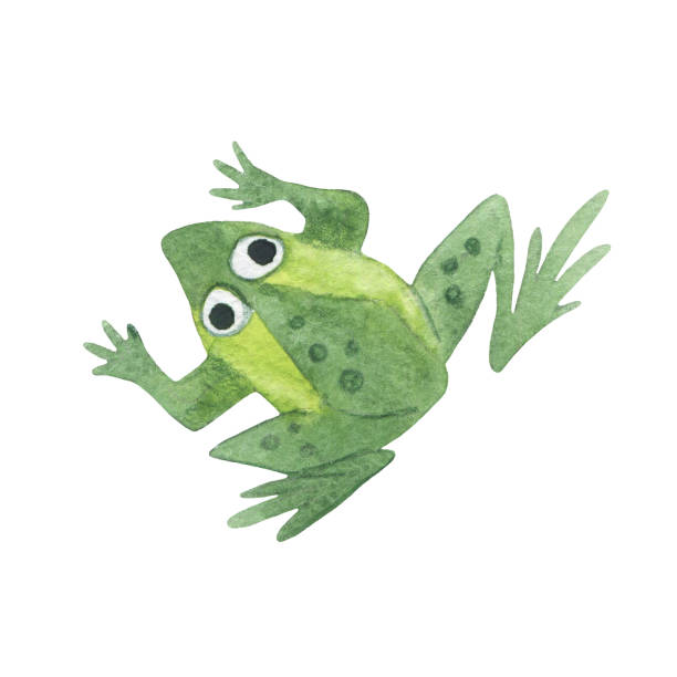 istock Watercolor illustration of a funny frog. Cartoon toad 1680527661