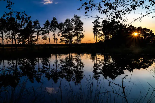 Pietzmoor (Pietz Bog) at Schneverdingen in the Lüneburg Heath, Lower Saxony, Germany