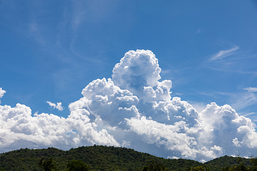 Cumulonimbus,  puffy white clouds in the blue sky