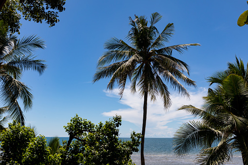 [Guam] Beautiful beach seen from the platform.