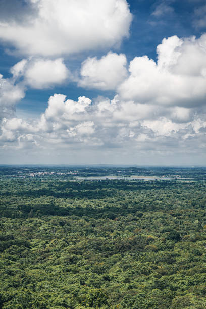 istock City in forest under cloudy sky 1680621928