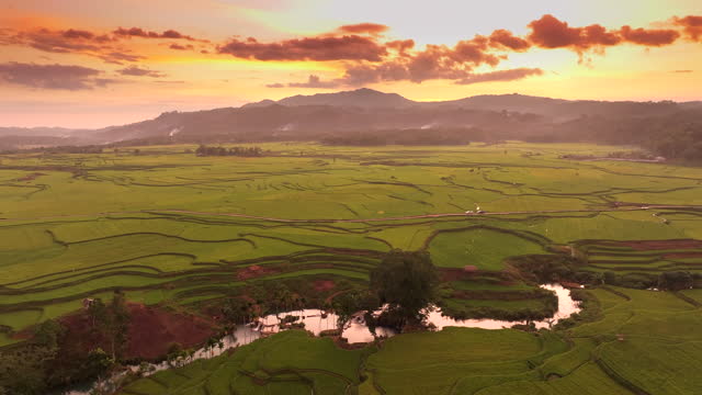 Aerial Drone Sunset Scene of Waikacura Rice Field, West Sumba Island, Indonesia