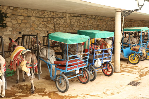 Donkeys for tourist walk in Mijas