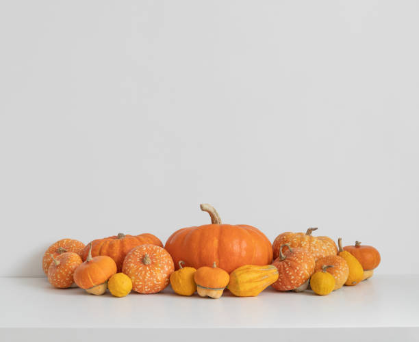 istock Autumn harvest with different pumpkins and squash on white background with copy space. Autumn festive decorations for Thanksgiving or Halloween. Organic vegetables. 1680729758
