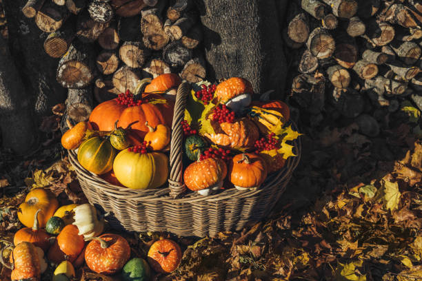 istock Pumpkins in a basket autumn composition. Various pumpkins and squash, maple leaves, red berries in a wicker basket. Autumn harvest. Organic farm vegetables. Thanksgiving day concept. 1680741090