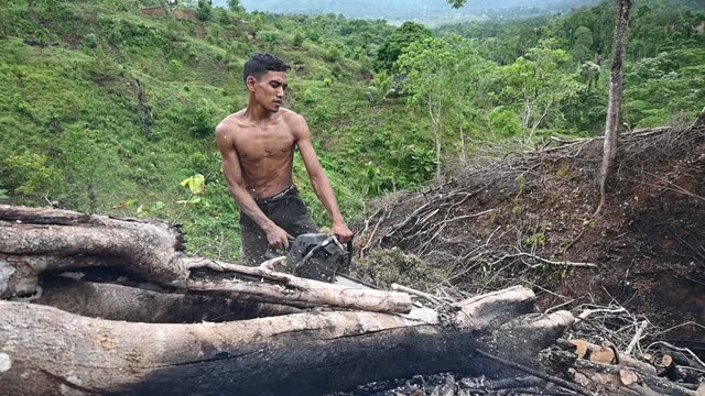 Man Clearing Land With Chainsaw - Stock Video