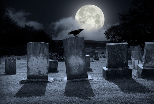 Halloween landscape - cemetery with full moon and crow on tombstone and trees over full moon