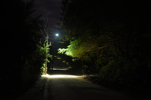 dark street with dirt road illuminated by light
 dim light over green vegetation poetic