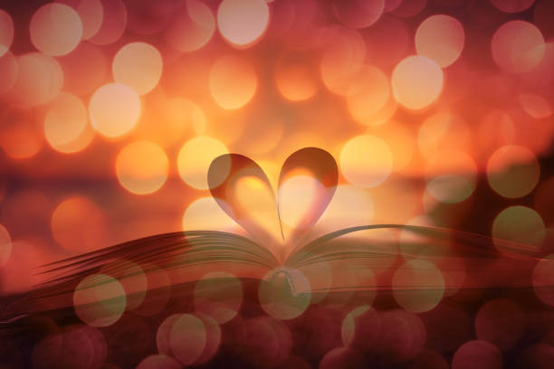 Book shaped heart and sparkling lights. Love and education. book heart shape valentines day copy space stock pictures, royalty-free photos & images