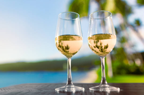 istock Wine and dine at the beach bar. 1680781296