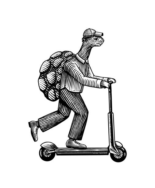 ilustraciones, imágenes clip art, dibujos animados e iconos de stock de un hombre tortuga con traje monta un scooter. repartidor de comida. carácter animal de moda. boceto de contorno de xilografía dibujado a mano. ilustración vectorial grabada para logotipo y tatuaje o camisetas. - bicycle characters postal worker sketch