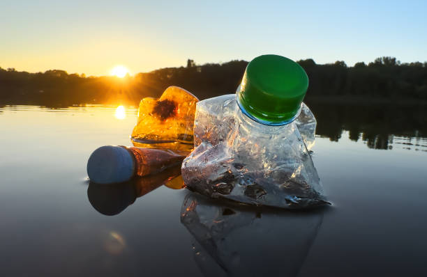 istock Plastic pollution is filling ocean and devastating wildlife. Aquatic trash disaster. 1680786680