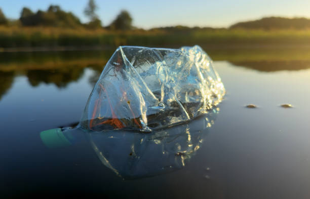 istock Plastic pollution is filling ocean and devastating wildlife. Aquatic trash disaster. 1680787242
