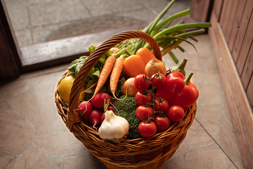 Basket full of freshly picked vegetables.