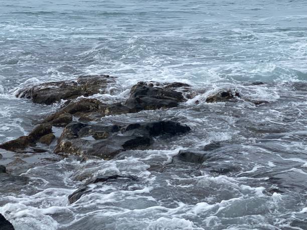istock Hawaii Kona Big Island Volcanic Rock Beach 1680797403
