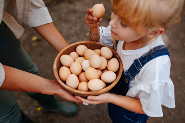 istock Little girl taking an egg from a bowl 1680809876