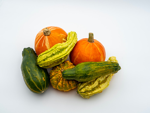 Assorted fresh ripe pumpkins on isolated background