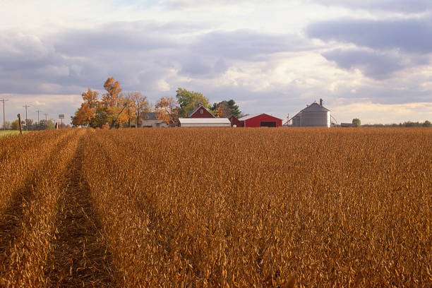 istock Tippecanoe County Indiana 1680828763
