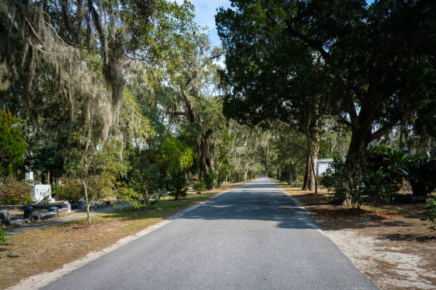 istock Tree-lined avenue in Bonaventure Cemetery in Savannah. 1680857476